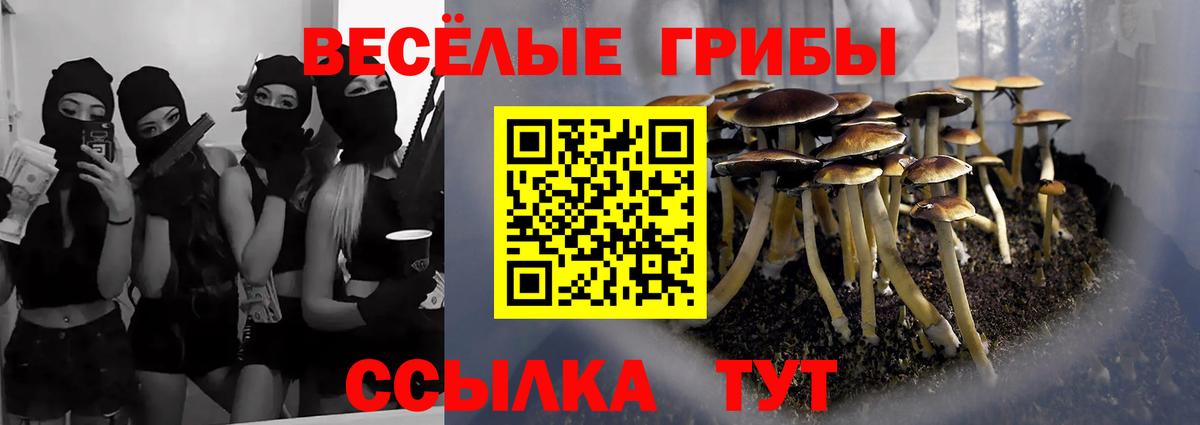 Псилоцибиновые грибы ЛСД  Вход с VPN  Учалы 